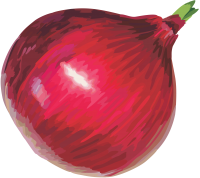 Red onion PNG image