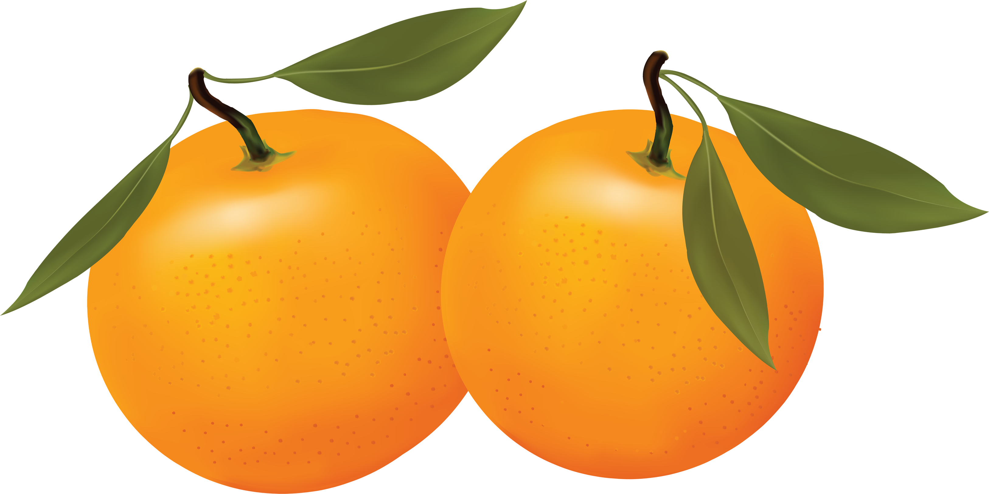 Naranja PNG