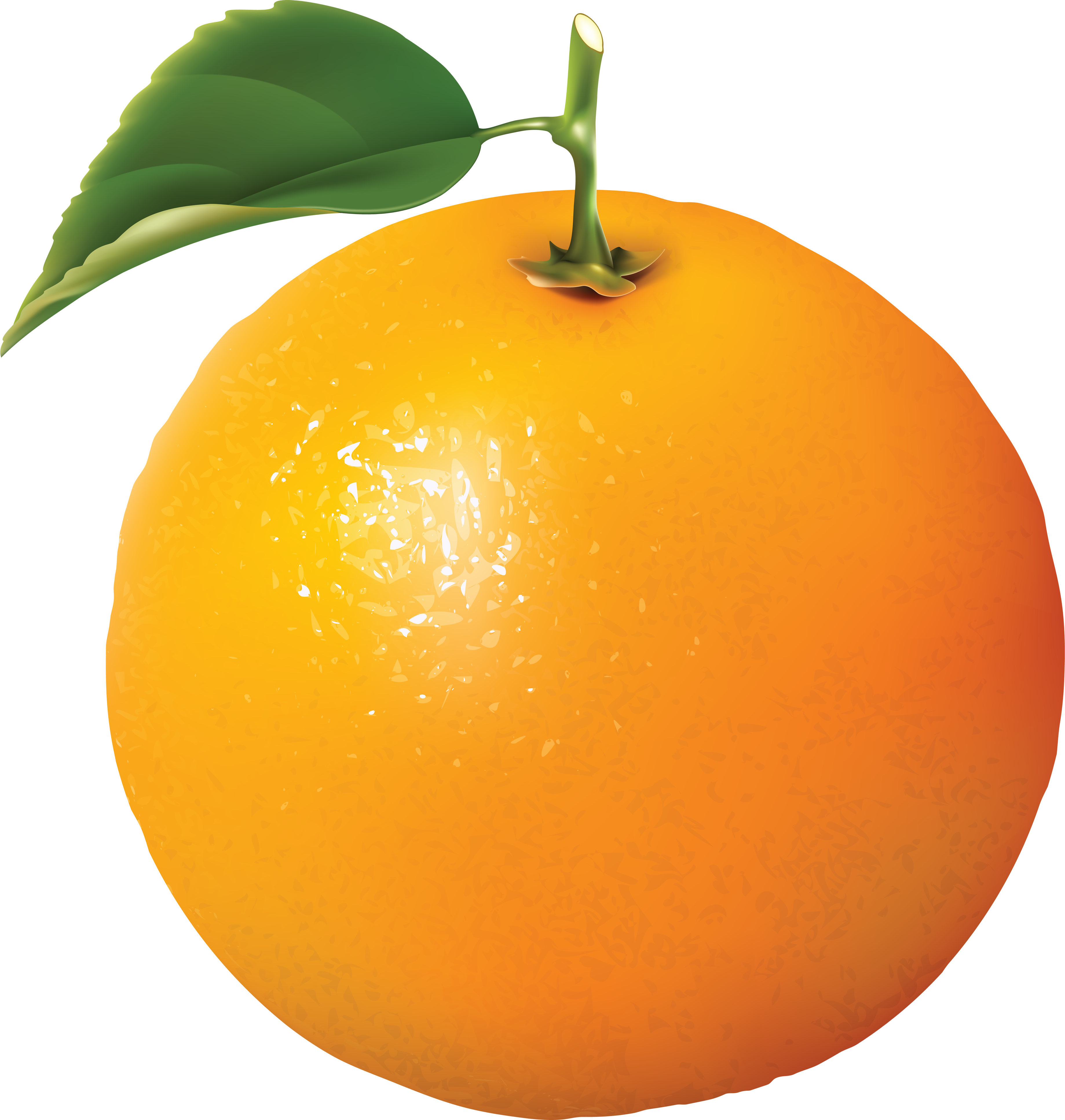 Ripe orange PNG