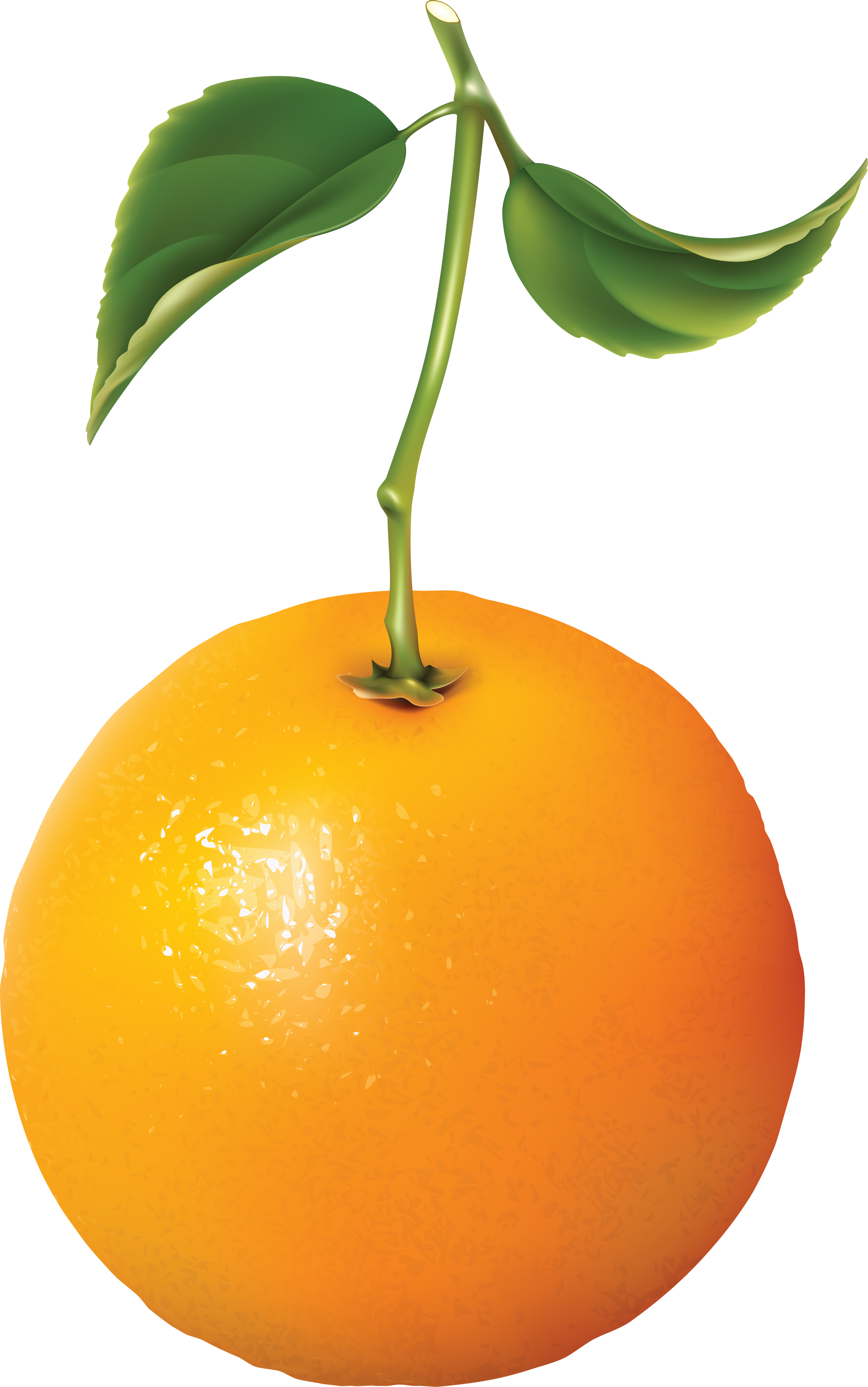 Orange PNG image with gree leaves transparent