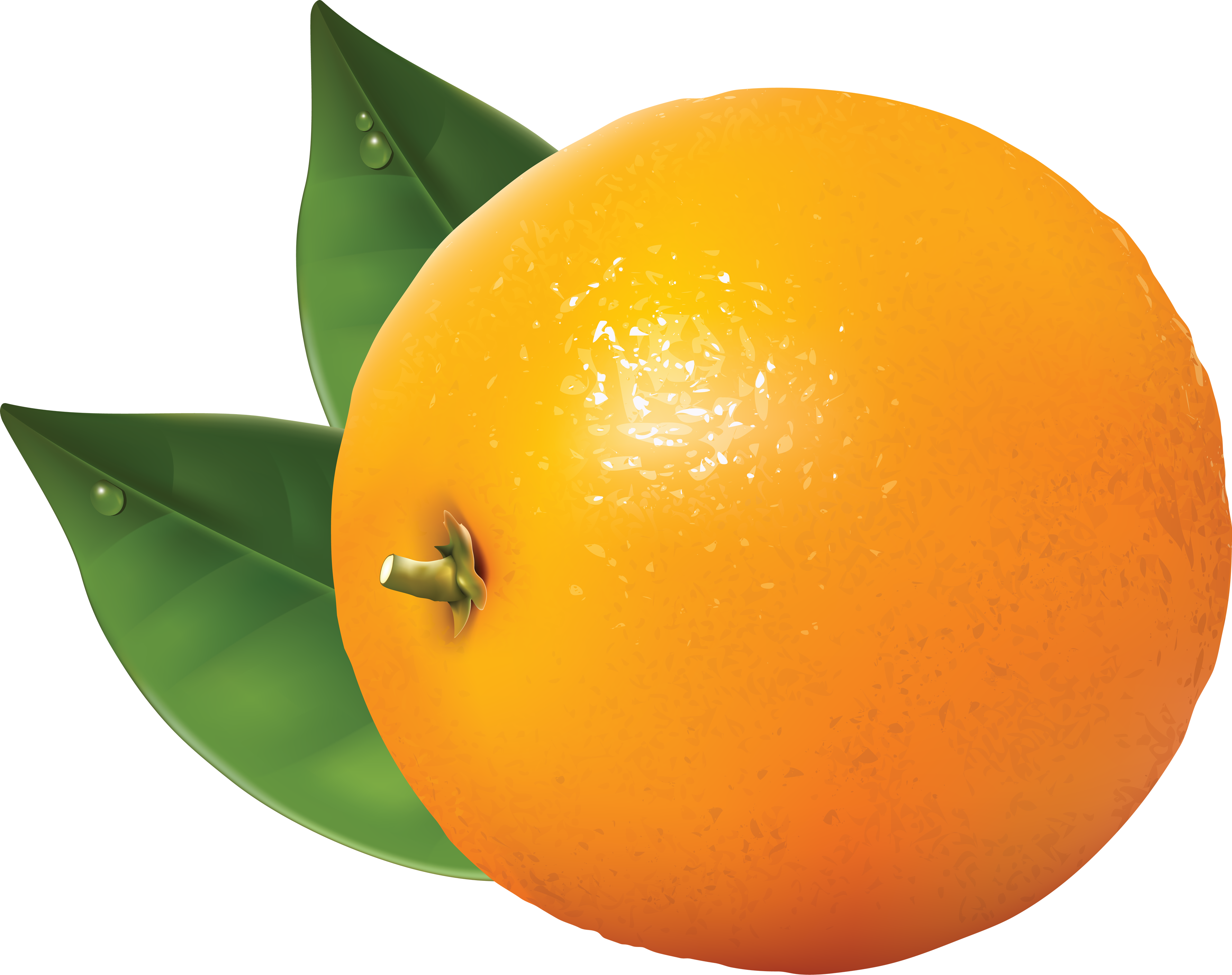 Orange PNG image with gree leaves