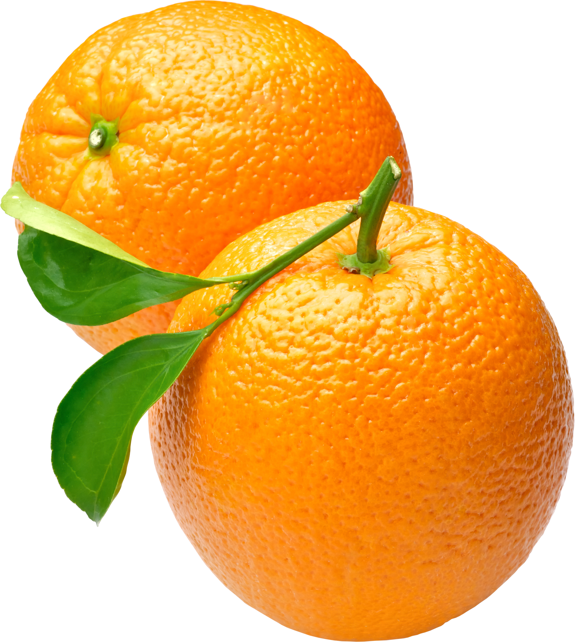 two oranges PNG image
