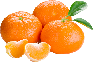 Three oranges PNG image