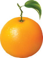 Orange PNG image with gree leaf
