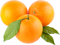 three oranges with leaves PNG image
