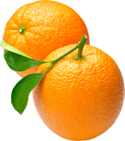 two oranges PNG image