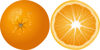 Orange PNG image