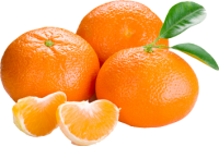 Апельсины PNG фото