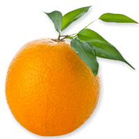 橙2