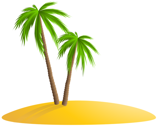 Palmera PNG