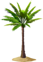 Palmera PNG