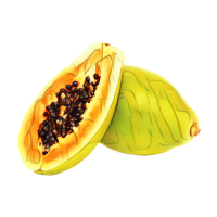 fruto Papaya PNG