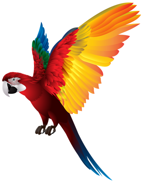 Loro PNG