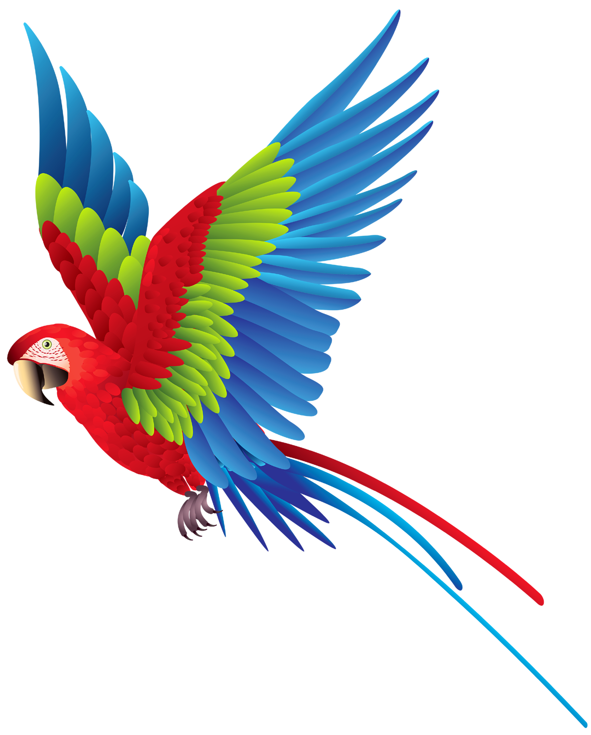 Parrot Cartoon Png Clip Art Image Loro Dibujo Dibujos De Animales