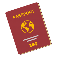 Паспорт PNG