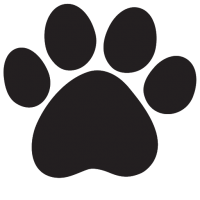 Paw PNG