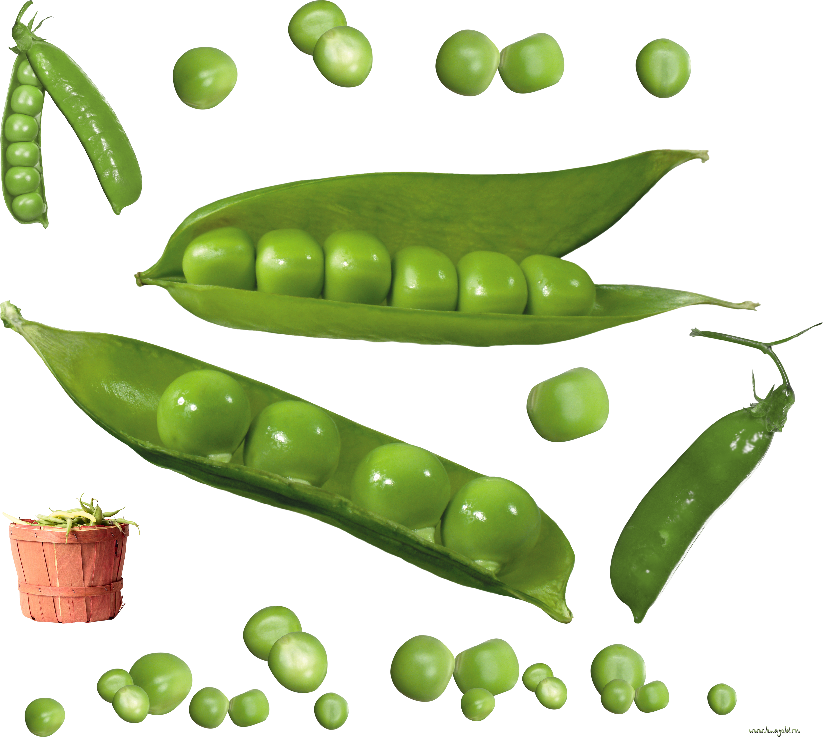 Pea PNG