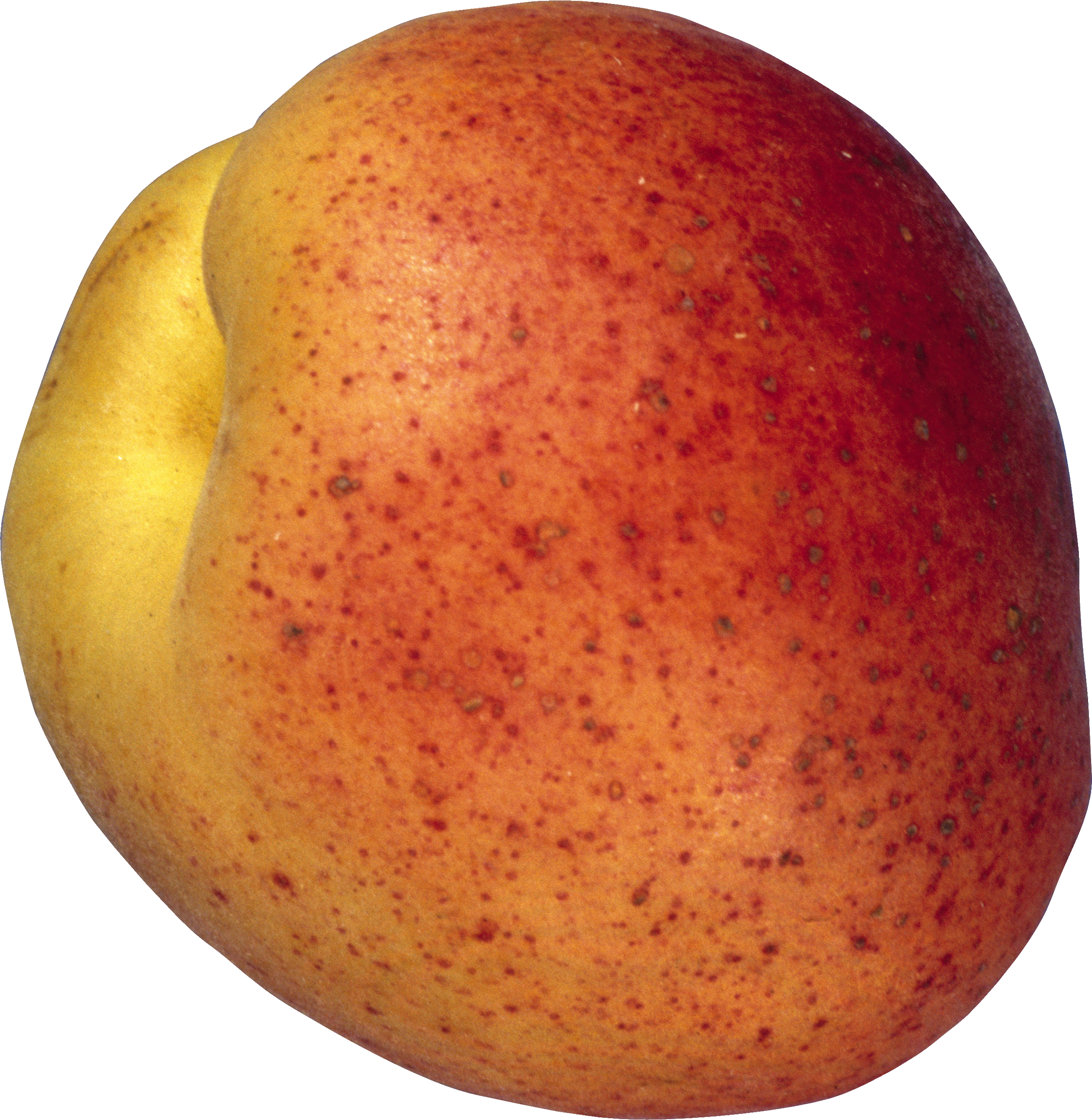Peach PNG image