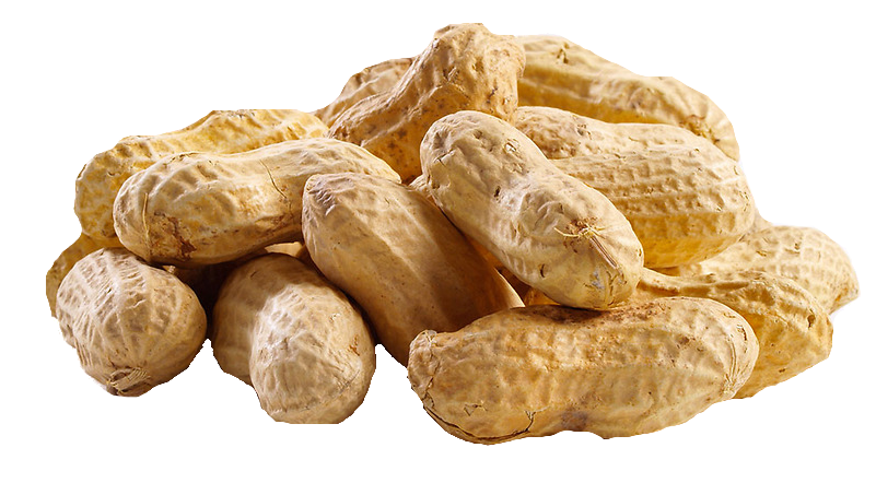 Peanut Plant Varieties - What Are The Different Kinds Of 