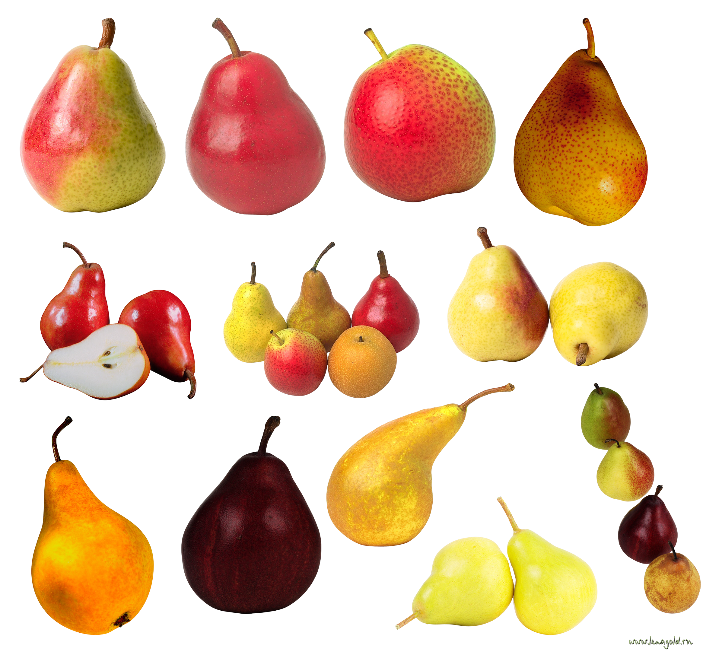 Pears clipart PNG image