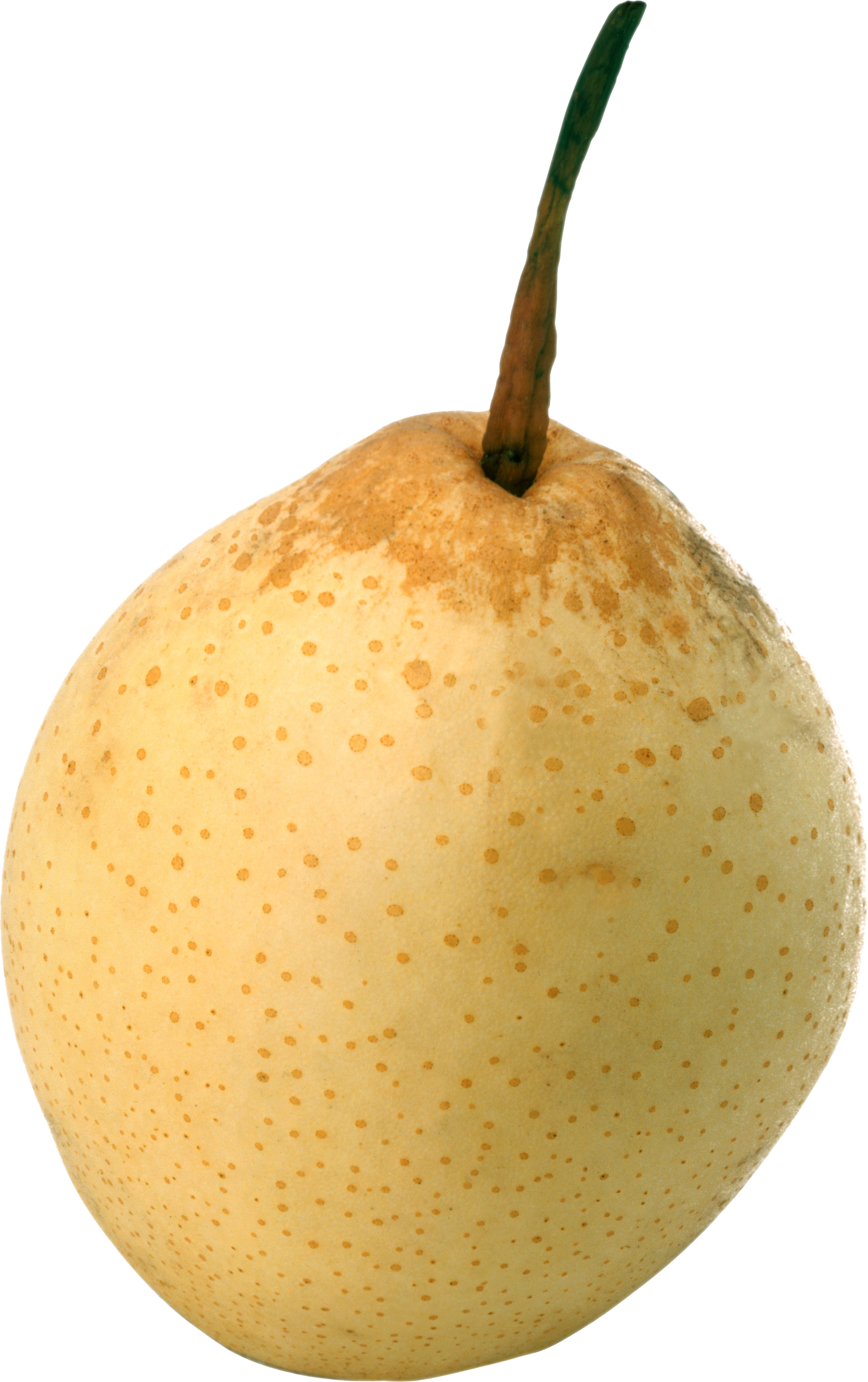 Ripe pear PNG image