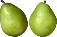 Green pears PNG image