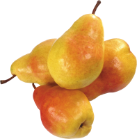 Pear PNG image
