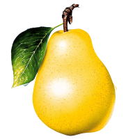 Ripe yellow pear PNG image