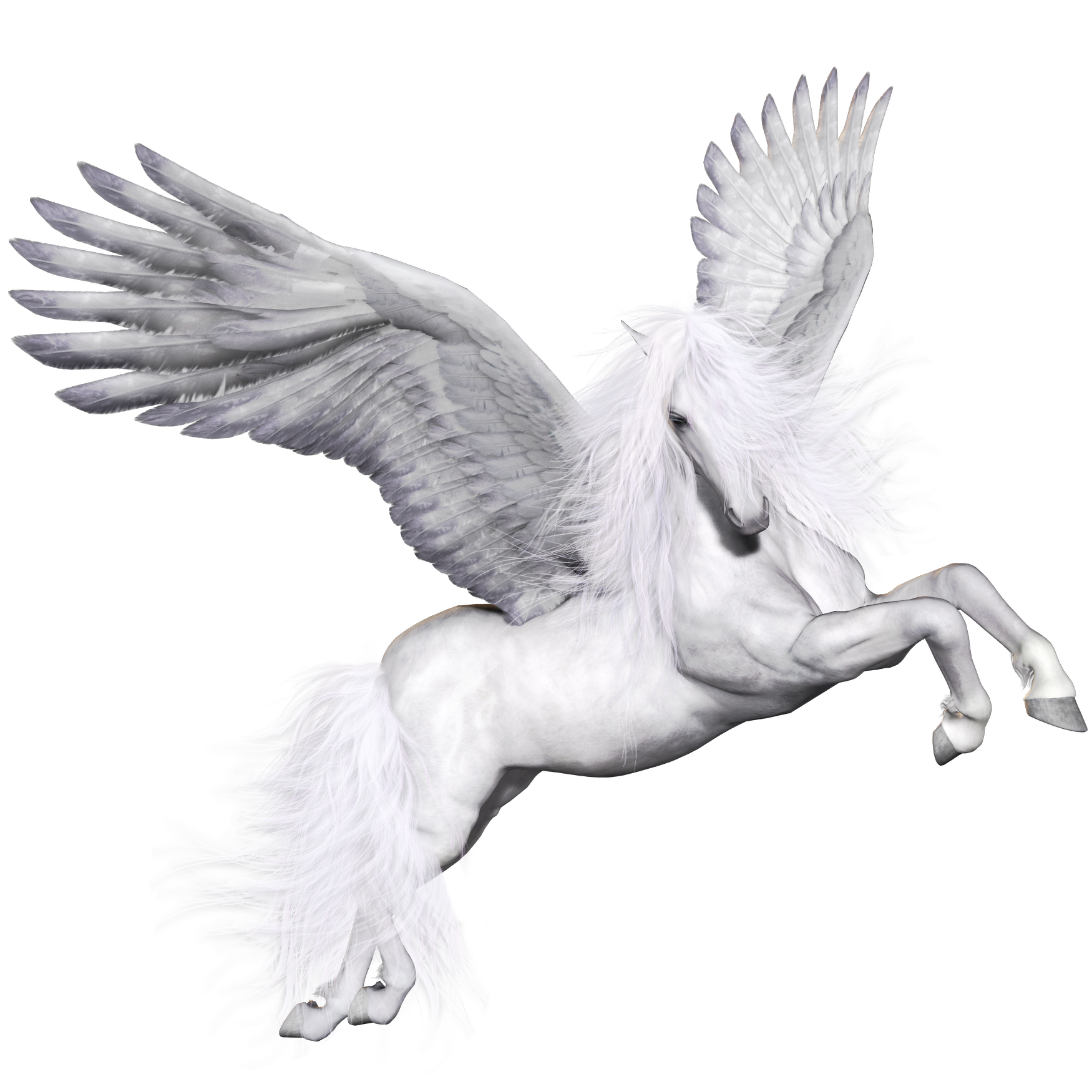 Пегас без крыльев. Пегас конь. Конь с крыльями. Лошадь на белом фоне. Белая лошадь с крыльями.