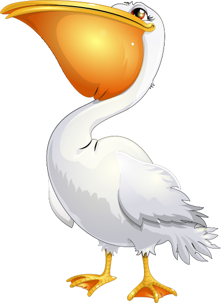 Pelican PNG image free Download