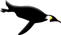 Penguin PNG image
