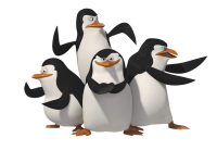 Мадагаскарсике пингвины PNG фото, изображение пингвинов PNG