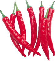 Red chili pepper PNG image