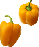 Yellow pepper PNG image