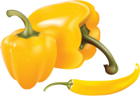 Bell pepper PNG