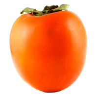 柿子10