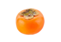 Persimmon PNG