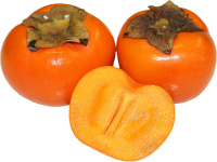 Persimmons PNG image