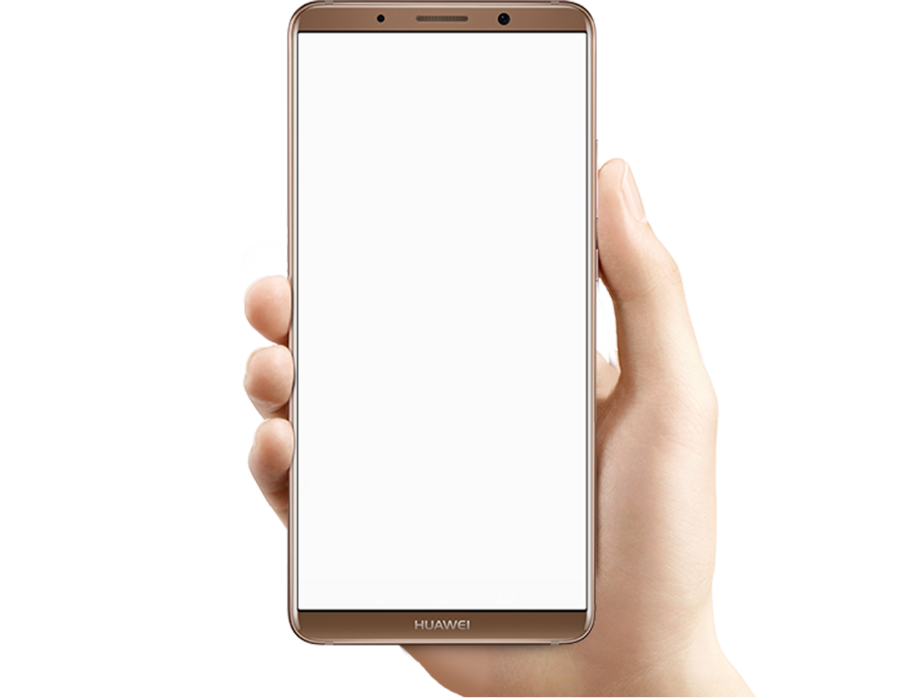 Phone In Hand Png