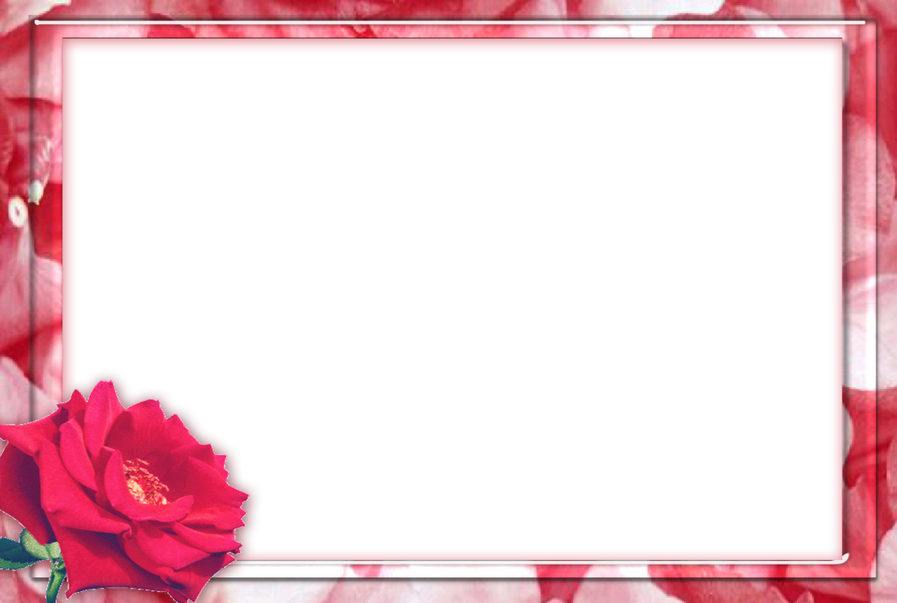 Picture, photo frame PNG transparent image download, size: 1295x870px