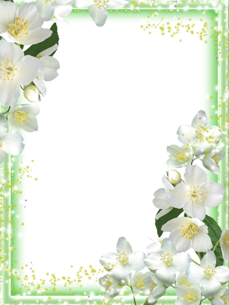 Picture, photo frame PNG