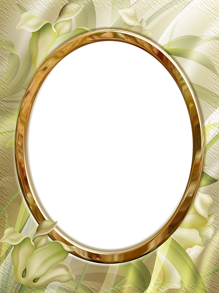 Picture, photo frame PNG