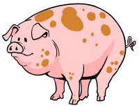 Pig PNG
