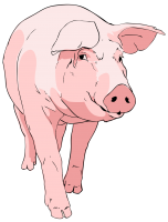 Pig PNG