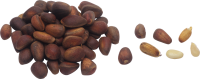 Pine nuts PNG