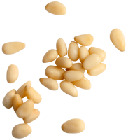 Pine nuts PNG