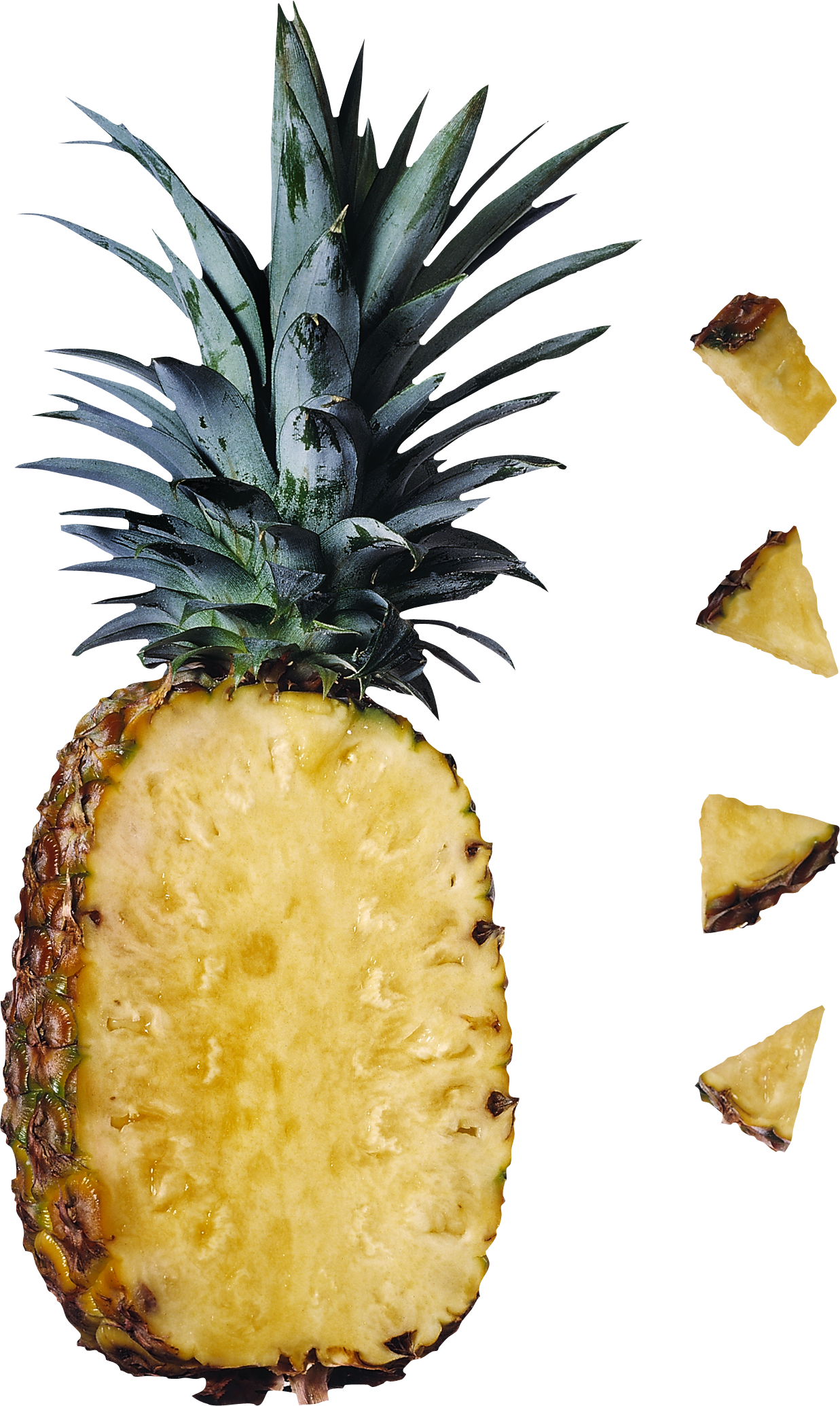 Pineapple PNG image, free download