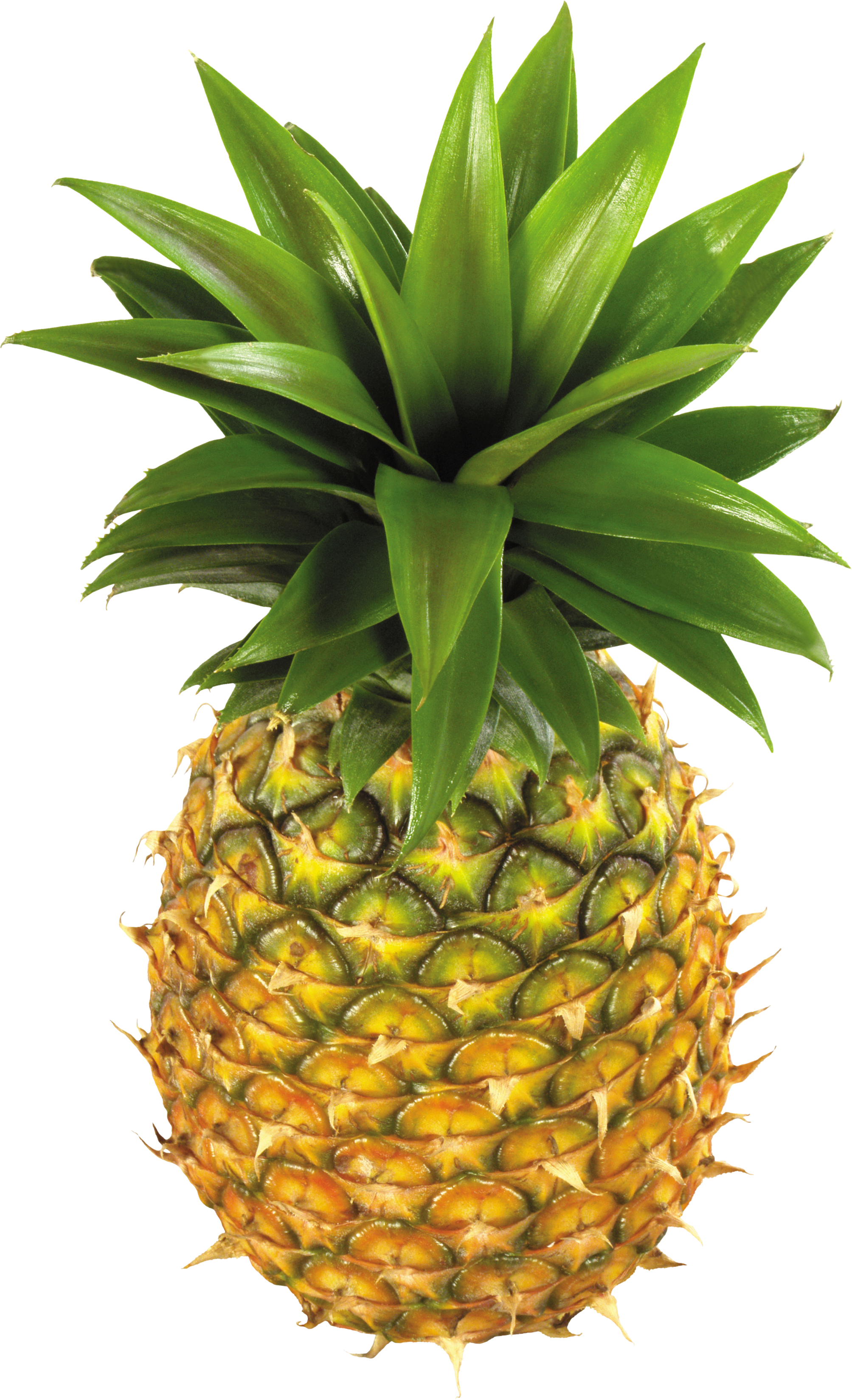 pineapple