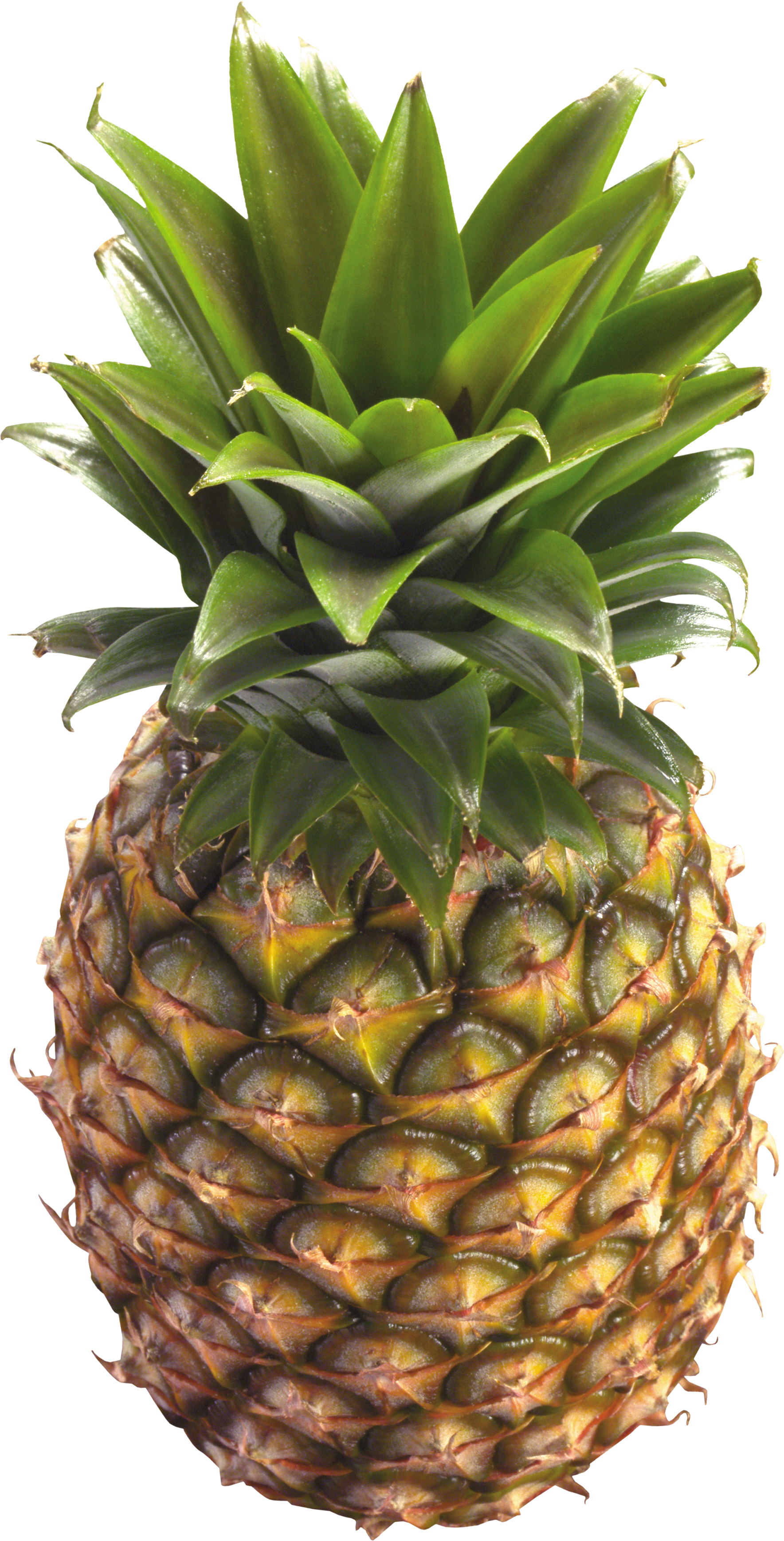 Pineapple PNG images Download
