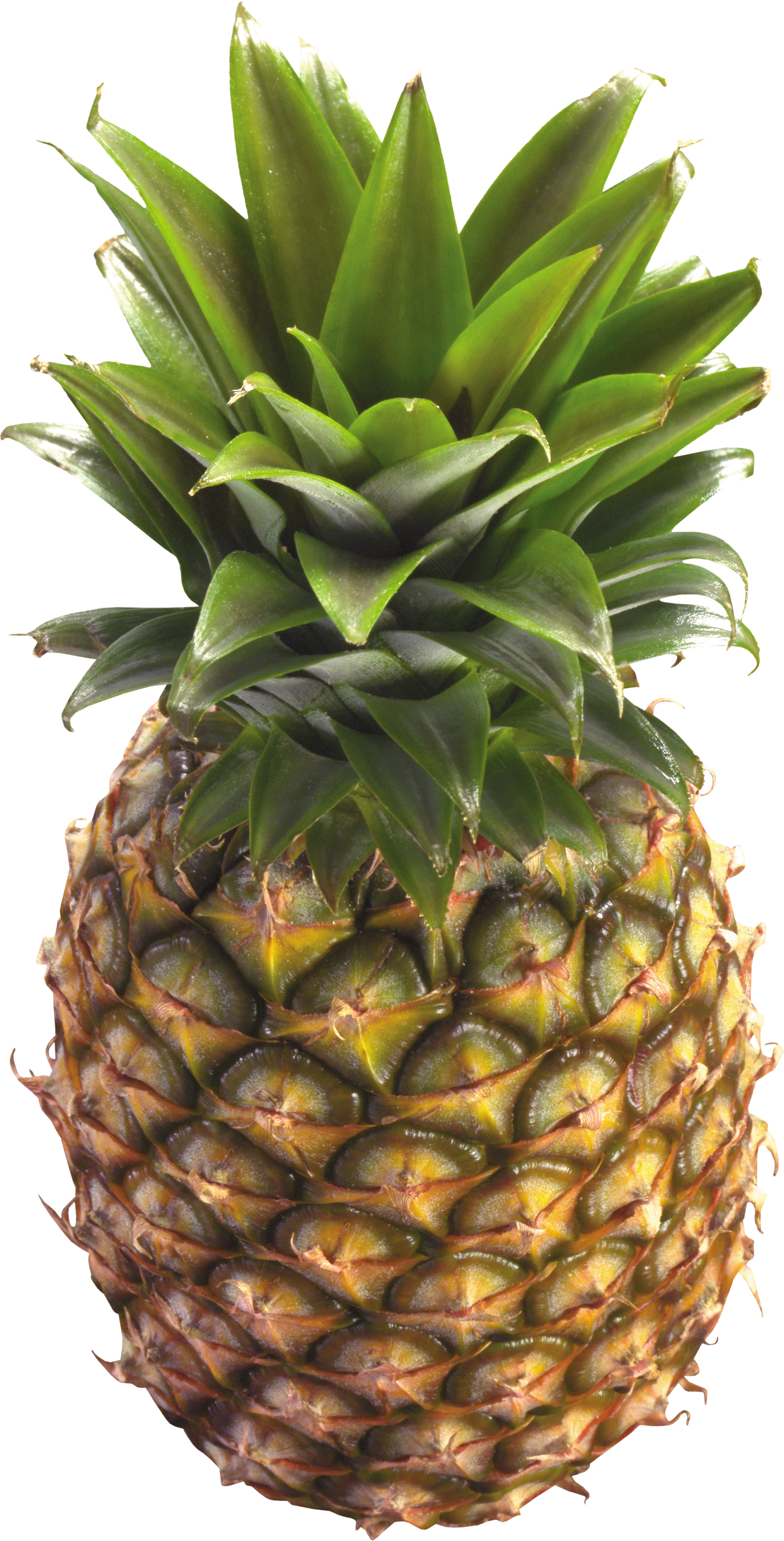 Pineapple PNG images free pictures download